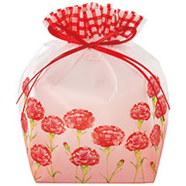 母の日PE巾着バッグ-M／カーネーション