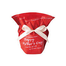 マザーズデイリボン付ポットカバー-4