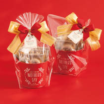 マザーズデイブリキバケツセット-48