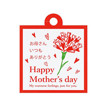 マザーズデイタッグ-10/ハートカーネーション