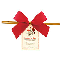 マザーズデイワイヤータイ-2