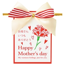 マザーズデイワイヤータイ-4