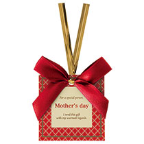 マザーズデイワイヤータイ-6