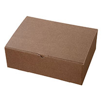 無地ブラウンギフトボックス-L1