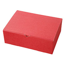 無地エンジギフトボックス-L1