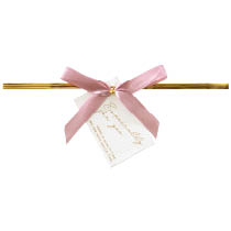 ミスティーカラーリボン付ワイヤータイ／ピンク-1