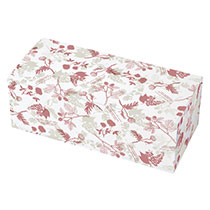 モダンリラックスPETBOX-1