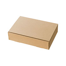 無地スマートボックス/クラフト-6