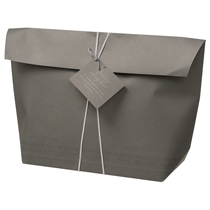 ニューモダン舟形ペーパーバッグ-1