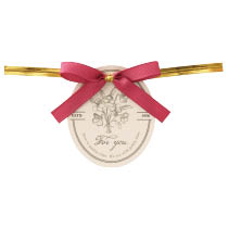 ナチュラルプランツワイヤータイ-2／レッド