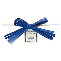 ペーパーラフィアワイヤータイ-2