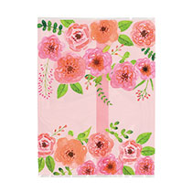 ラフィネスイーツパック／クリア-3［乾燥剤・脱酸素剤対応］