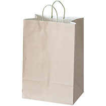 サーブルペーパーバッグ-L1