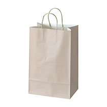 サーブルペーパーバッグ-L2