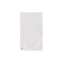 さくらOPPバッグ-4