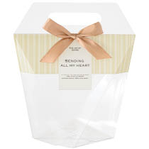 スタイリッシュストライプハンドルPETクリアBOX-1