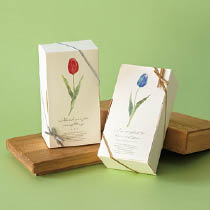 春チューリップギフトボックスセット-31