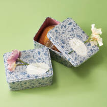 春リトルガーデンギフト缶セット-35