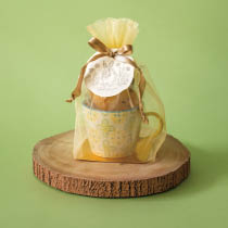 春マグカップセット-38