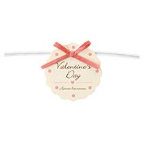 バレンタインデイワイヤータイ-1