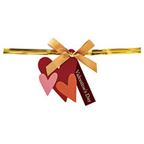 バレンタインデイワイヤータイ-5