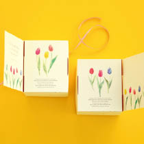 チューリップギフトBOX-XS