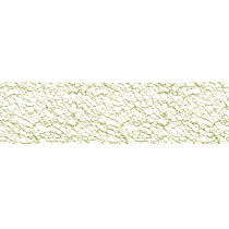 ウェブレースリボン-6/グリーン