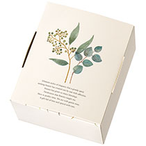 ウォーターカラーリーフギフトBOX-XS