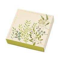 ウォーターカラーリーフスリーブボックス-2