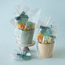 ホワイトデイアレンジポットセット-34