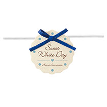 ホワイトデイワイヤータイ-1