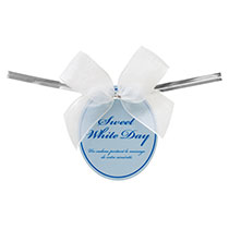 ホワイトデイワイヤータイ-2