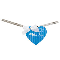 ホワイトデイワイヤータイ-3