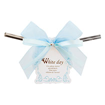 ホワイトデイワイヤータイ-4