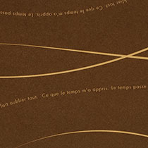 ウェーブ包装紙/ブラウン-2