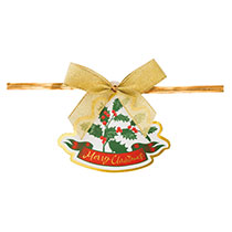 クリスマスヒイラギワイヤータイ-1