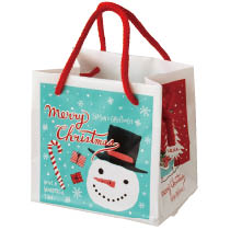 クリスマスミントブルーキューブバッグ-2