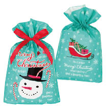 クリスマスミントブルーリボン付PEギフトバッグ-S