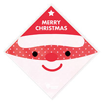 ミニサンタシューバッグ