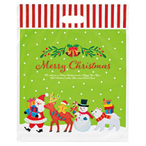 クリスマスオイルパステルPEバッグ-2