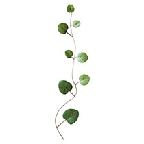 造花グリーンパーツ/ハートカズラ-3