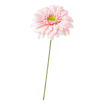 ガーベラフルリール-S/ベビーピンク-1