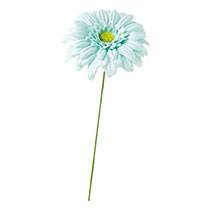 ガーベラフルリール-S/ベビーブルー-3