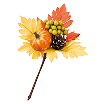 カボチャフルリール-M