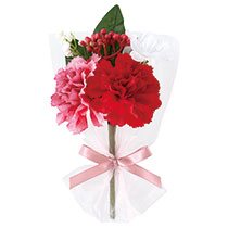 母の日フルリールミニブーケ-3／レッド