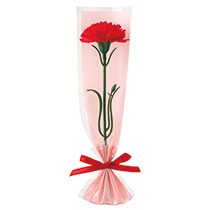 母の日フルリールミニブーケ-4／1輪