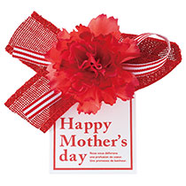 母の日フルリールクリップ付-1