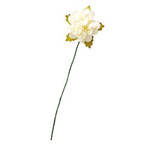 ペーパーカラフルフルリール-M/アイボリー-5