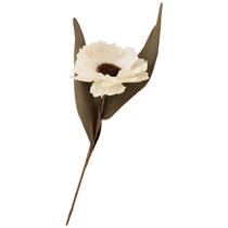 パフルールアレンジメント-M/ホワイト-1