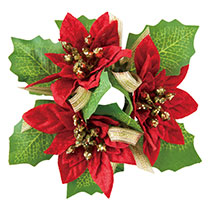 リングフルリール/ポインセチア-1